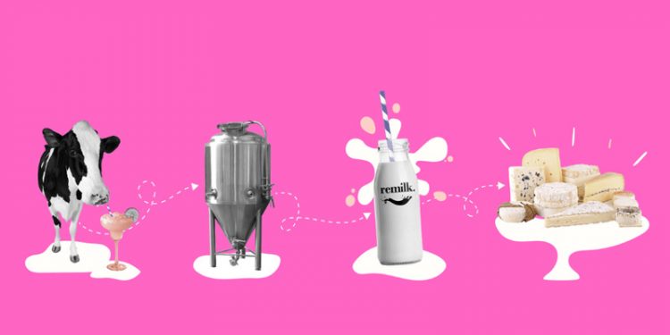 Vegan fabrika: Dünyanın en büyük hayvansız süt fabrikası inşa edilecek