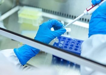 WHO: İngiltere'de 74 çocukta hepatit virüsü tespit edildi