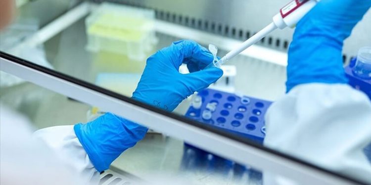 WHO: İngiltere'de 74 çocukta hepatit virüsü tespit edildi