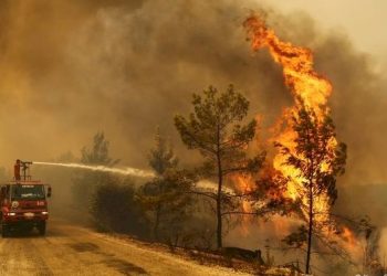 Yangınlar yine taşeron şirketlere emanet edildi