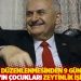 Yıldırım’ın çocukları ‘talan’ düzenlenmesinden 9 gün sonra zeytinlik işine girdi