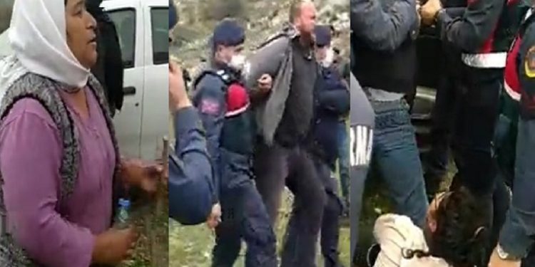 Zeytin ağaçlarının kesilmemesi için direnen vatandaşlar darp edildi, bölge halkı jandarmayı protesto etti: ‘Sizi biz doğurduk biz’