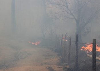 Çanakkale ve Bursa'da orman yangına müdahaleler sürüyor