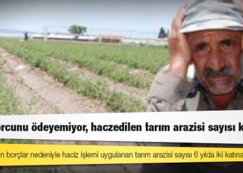 Çiftçi borcunu ödeyemiyor, haczedilen tarım arazisi sayısı katlandı