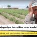 Çiftçi borcunu ödeyemiyor, haczedilen tarım arazisi sayısı katlandı