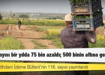 Çiftçi sayısı bir yılda 75 bin azaldı; 500 binin altına geriledi