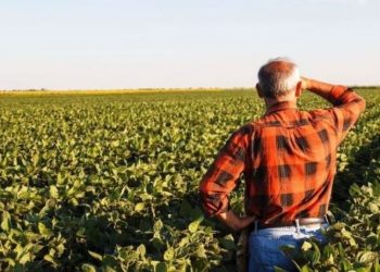 Çiftçiyi batırdılar: Borçları 18 yılda çekilen kredinin beşte birini buldu
