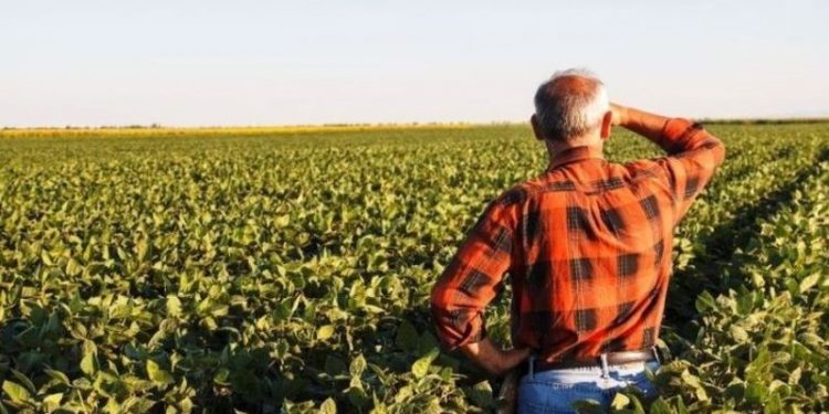 Çiftçiyi batırdılar: Borçları 18 yılda çekilen kredinin beşte birini buldu