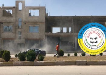 Özerk Yönetim: Türk devletinin saldırıları IŞİD'e uygun ortam sağlıyor