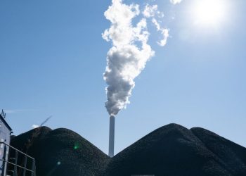 İklim krizi: BM Hükümetlerarası İklim Değişikliği Paneli (IPCC) raporuna göre krizle mücadele için kritik 5 adım