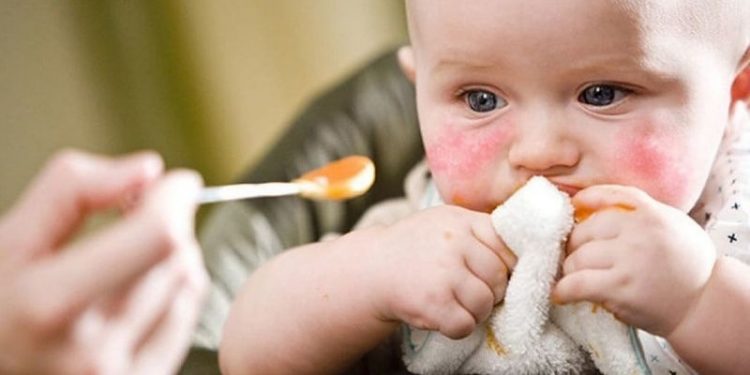 İnek sütü, yumurta ve buğday: Çocuklardaki 'gıda alerjisi haritası'