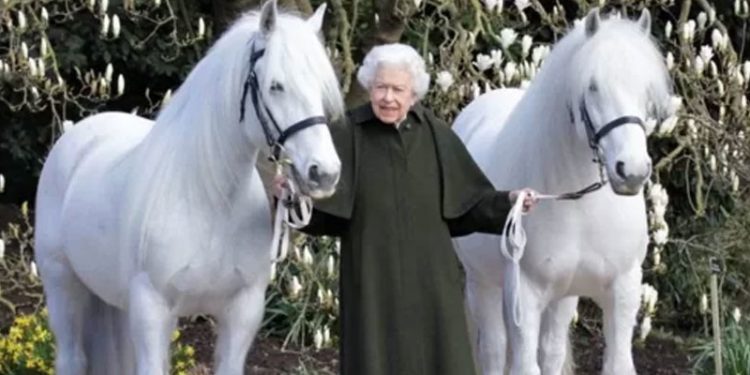 İngiltere Kraliçesi 2. Elizabeth 96. yaş gününü malikhanesinde ailesi ve arkadaşlarıyla kutlayacak