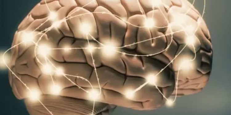 İngiltere'de araştırma: Beyni rahatlatan halüsinojen mantarlar depresyon tedavisinde kullanılabilir