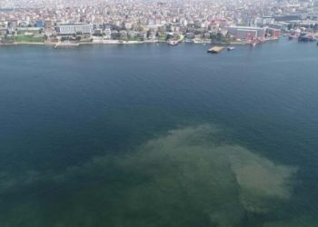 İstanbul'da m&uuml;silaj benzeri kirlilik g&ouml;r&uuml;ld&uuml;