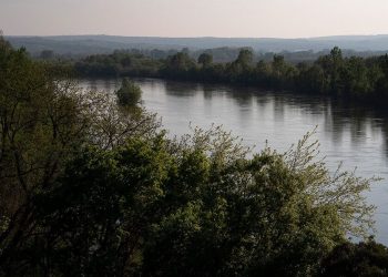 ‘Meriç’i geçmek isteyen göçmen botuna Türkiye tarafından ateş açıldı’ iddiası; bir kadın hayatını kaybetti