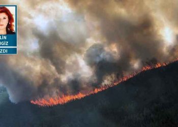 ‘Pyrocene çağı’na hoşgeldiniz: ‘Su akar Türk bakar’ geçti, şimdi moda ‘Orman yanar Türk bakar’
