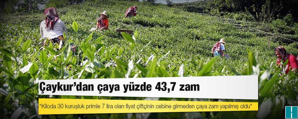 Çaykur'dan çaya yüzde 43,7 zam