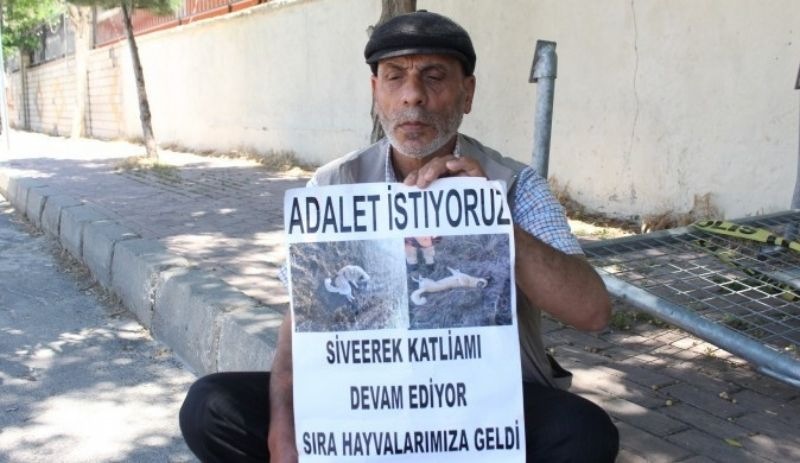 İzol ailesi Urfa Adliyesi önünde: Sadece adalet istiyoruz