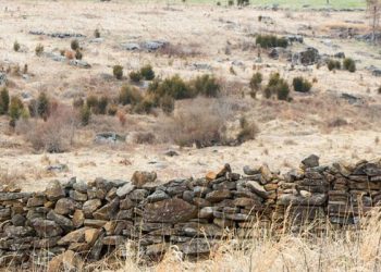 17 ilde hazine arazisi olan 243 arsa özelleştirme kapsamına alındı