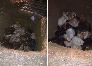 3 ton 660 kilo çürümüş at eti ele geçirildi: 'Sağlık sorunları ortaya çıkacak'