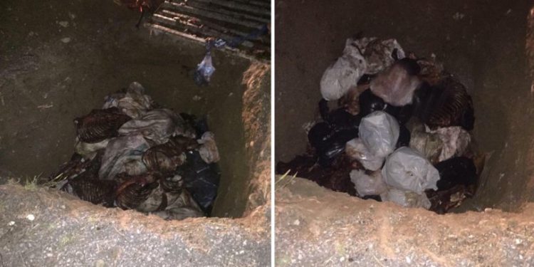 3 ton 660 kilo çürümüş at eti ele geçirildi: 'Sağlık sorunları ortaya çıkacak'