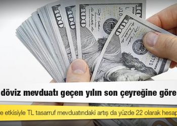 81 ilde döviz mevduatı geçen yılın son çeyreğine göre arttı