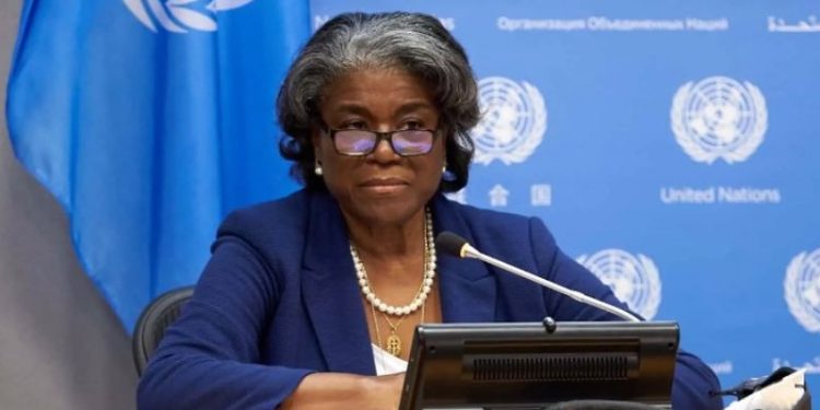 ABD'nin BM Daimi Temsilcisi Greenfield'in Türkiye ziyareti ertelendi