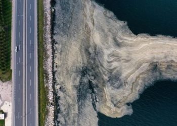 AKP’nin müsilaj teklifi TBMM’de, iki katına çıkarılacak para cezası 657 bin TL olacak