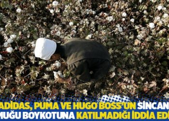 Adidas, Puma ve Hugo Boss'un Sincan pamuğu boykotuna katılmadığı iddia edildi
