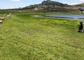 Afyonkarahisar'da mera arazisi maden şirketine verildi
