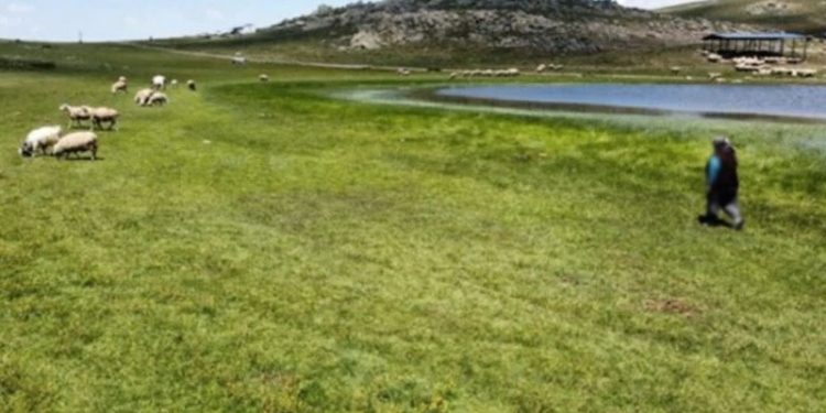 Afyonkarahisar'da mera arazisi maden şirketine verildi