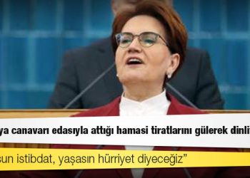 Akşener'den NATO tepkisi: Amacın PKK'yı Avrupa'dan tasfiye etmekse yanında oluruz, şehitlerimizin kanıyla para pazarlığı yapmaksa izin vermeyiz
