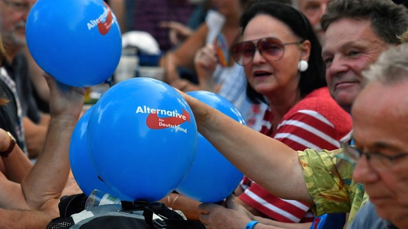 Almanya'da AfD'nin sızan mektupları, partinin aşırı sağcı fantezilerini gözler önüne serdi