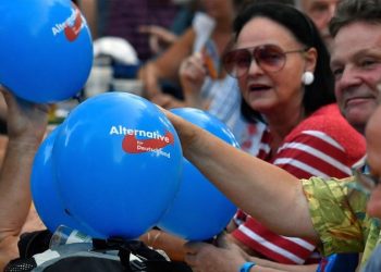 Almanya'da AfD'nin sızan mektupları, partinin aşırı sağcı fantezilerini gözler önüne serdi