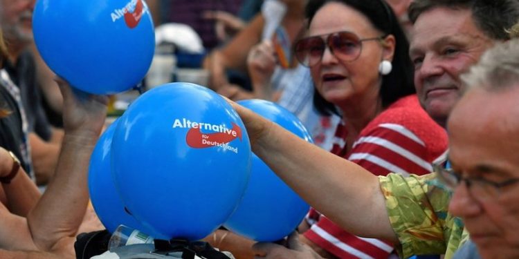 Almanya'da AfD'nin sızan mektupları, partinin aşırı sağcı fantezilerini gözler önüne serdi