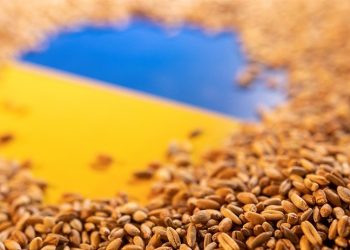 Ankara, Ukrayna tahılının ihracatı için Moskova ve Kiev ile müzakere halinde