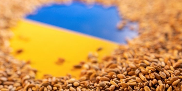 Ankara, Ukrayna tahılının ihracatı için Moskova ve Kiev ile müzakere halinde