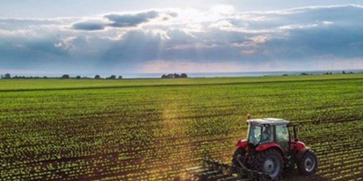 Antakya Ziraat Odası Başkanı Okay: İthalata verilen parayı üreticiden esirgemeyin