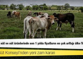Avrupa'da süt ve süt ürünlerinde son 1 yılda fiyatların en çok arttığı ülke Türkiye