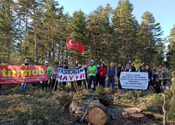 Ayman Yaylası’nda mücadele sonuç verdi: Valiliğin kararı iptal edildi