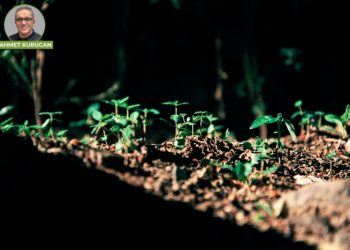 Ağacı bırakanlarla beraberdim