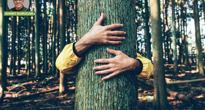 Ağacı bırakın artık!