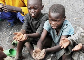 BM: Afrika'da 18 milyon kişi gıda güvensizliği riski altında