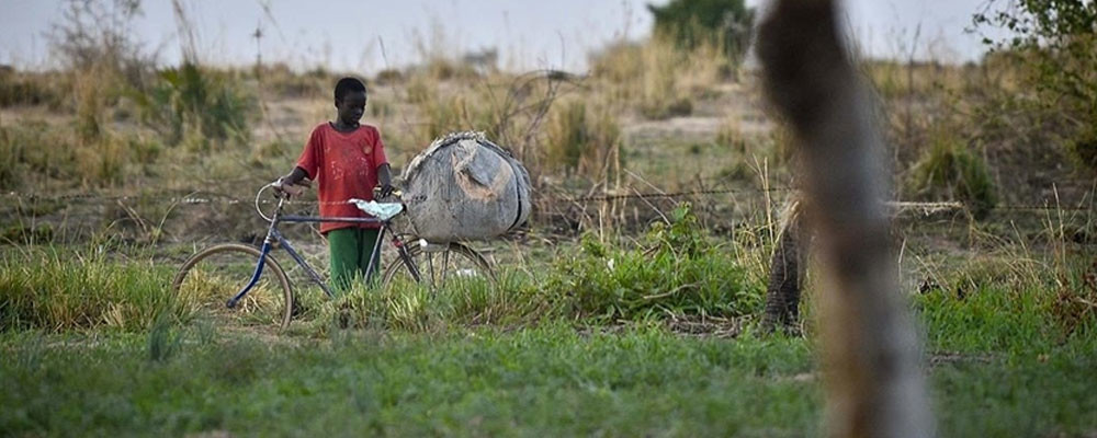 BM: Afrika'nın Sahel bölgesinde 18 milyon kişi gıda güvensizliği riski altında