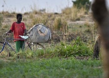 BM: Afrika'nın Sahel bölgesinde 18 milyon kişi gıda güvensizliği riski altında
