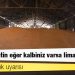 BM'den kıtlık uyarısı: 'Başkan Putin eğer kalbiniz varsa limanları açın'