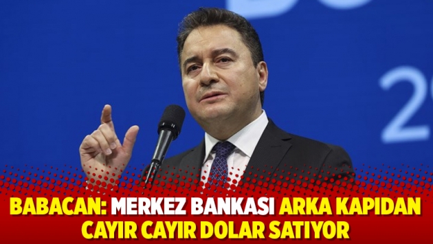 Babacan: Merkez Bankası arka kapıdan cayır cayır dolar satıyor