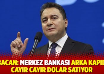 Babacan: Merkez Bankası arka kapıdan cayır cayır dolar satıyor