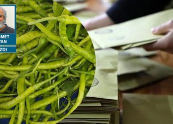 Bayburt ve kıl biber