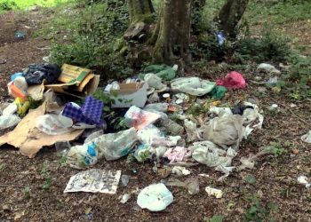 Belgrad Ormanı'nda piknikçiler gitti, çöpleri kaldı